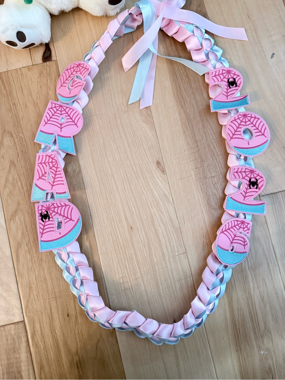Pink & Light Blue Braided Letter Lei with Spider Web Appliqués, graduation 2026 - Picture 5 of 6